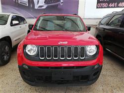 جيب رينيجيد